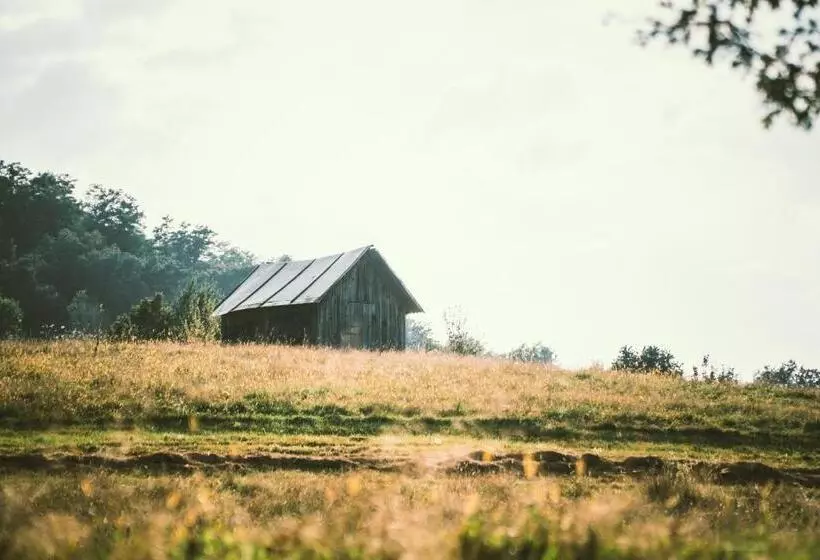 ペンション Petershaus   Casa De Vacanța și Distractie