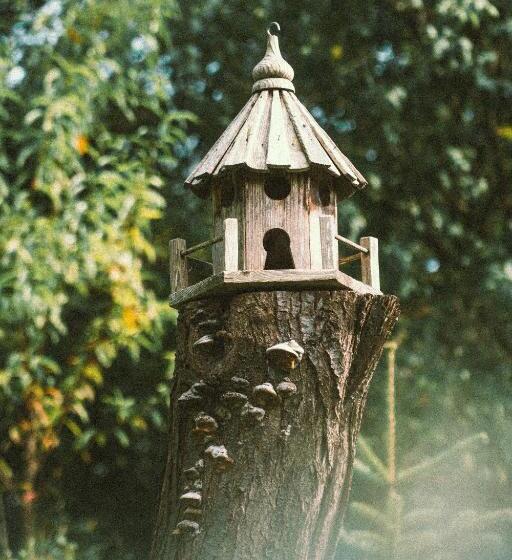 פנסיון Petershaus   Casa De Vacanța și Distractie