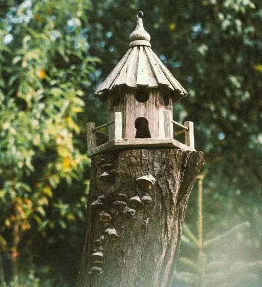 ペンション Petershaus   Casa De Vacanța și Distractie