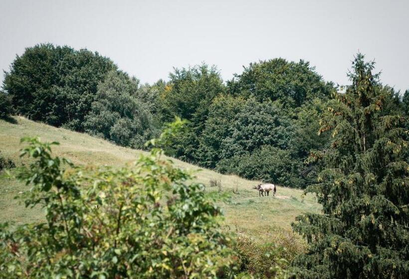 פנסיון Petershaus   Casa De Vacanța și Distractie