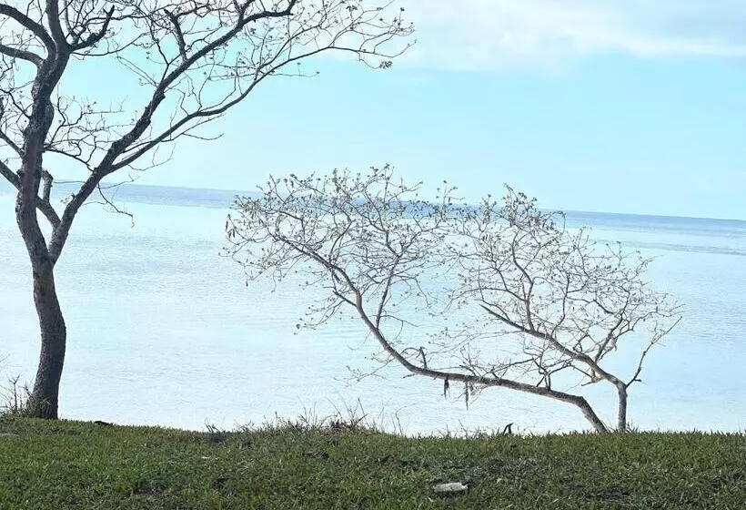 ベッドアンドブレックファースト Maweni Coralbay Beach Villa
