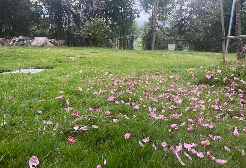 تختخواب و صبحانه Lake House