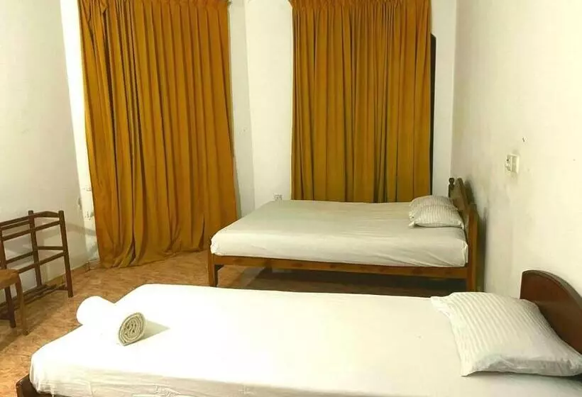 ベッドアンドブレックファースト Mimosha Holiday Inn