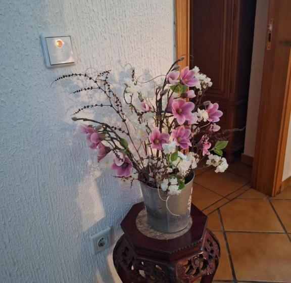 酒店 Hostal El Patio Restaurante