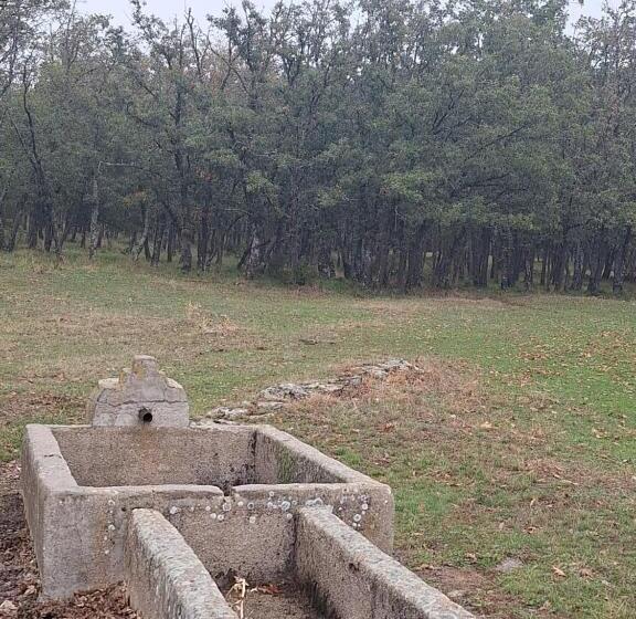 酒店 Hostal El Patio Restaurante