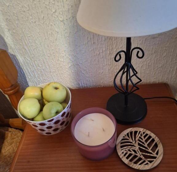 酒店 Hostal El Patio Restaurante