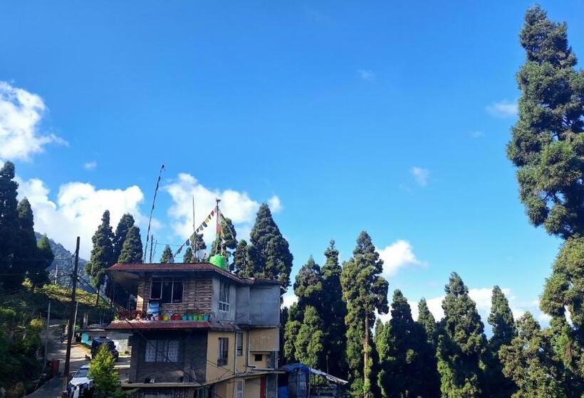 ホテル Pine Vista By Stayapart