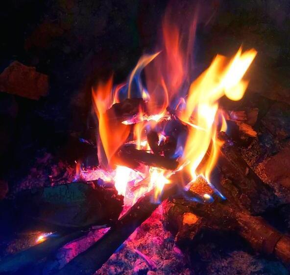 ホテル Pine Vista By Stayapart