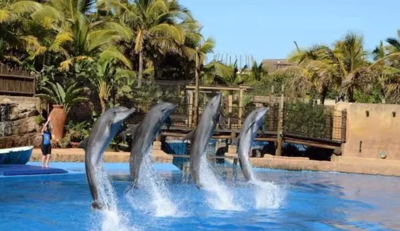 Hotelli Precious Paradise Ushaka