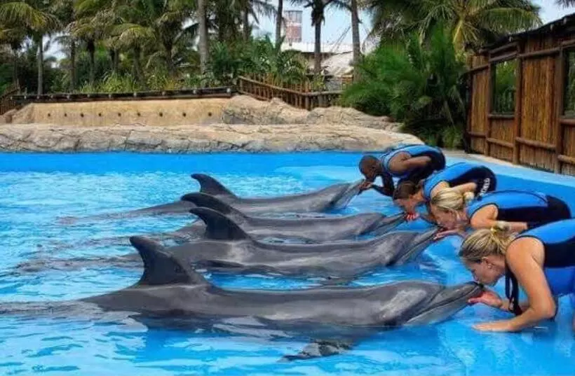 Hotelli Precious Paradise Ushaka