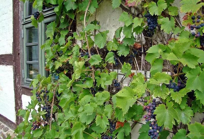 Majatalo Alte Ausspanne