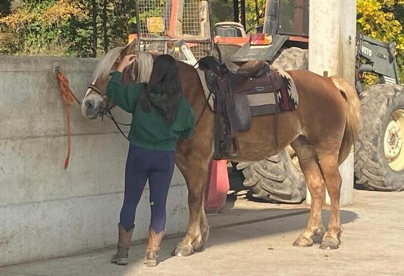 Pensjonat Maso Clena