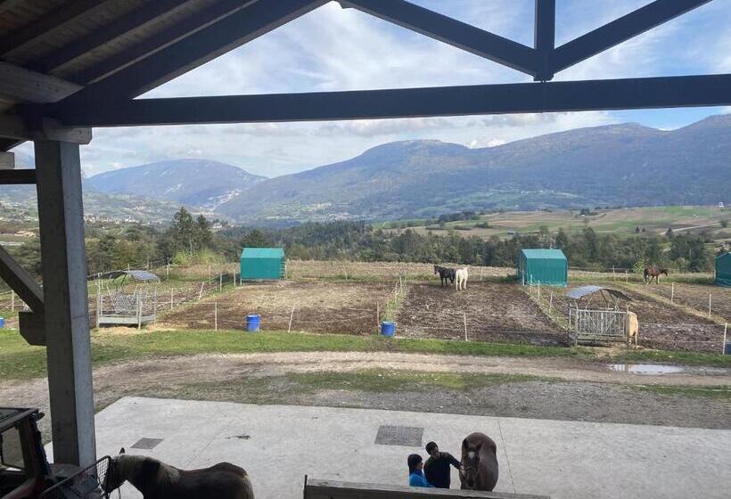 Pensjonat Maso Clena