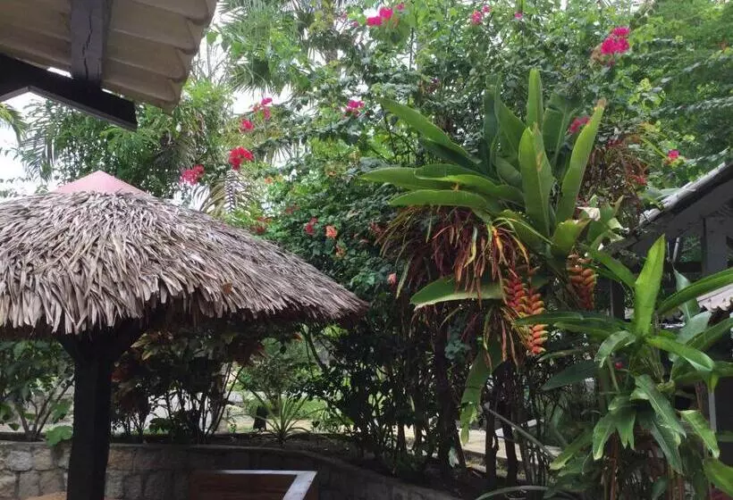 پانسیون Superbe Studio + Terrasse Privée « le Clair De L’une »