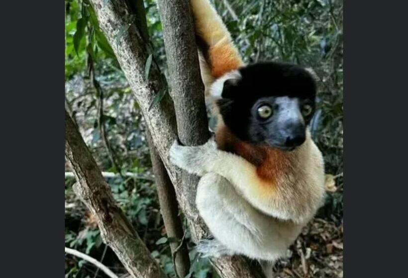 پانسیون Superbe Studio + Terrasse Privée « le Clair De L’une »