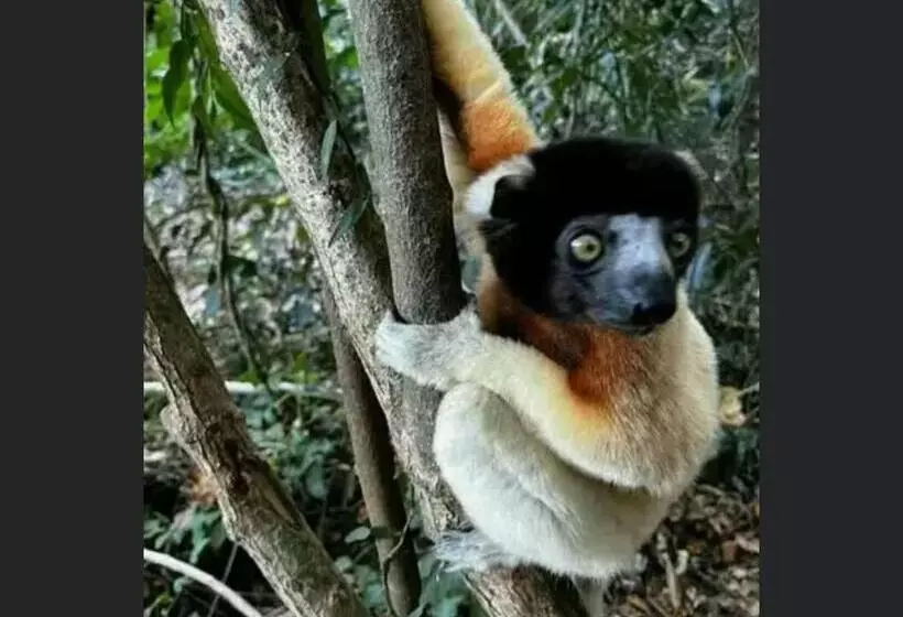 پانسیون Superbe Studio + Terrasse Privée « le Clair De L’une »