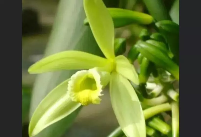 پانسیون Superbe Studio + Terrasse Privée « le Clair De L’une »