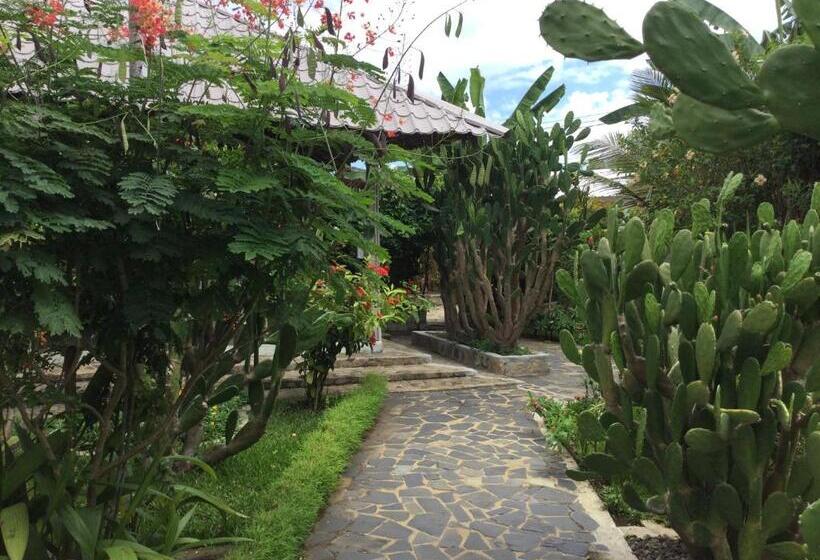 پانسیون Superbe Studio + Terrasse Privée « le Clair De L’une »