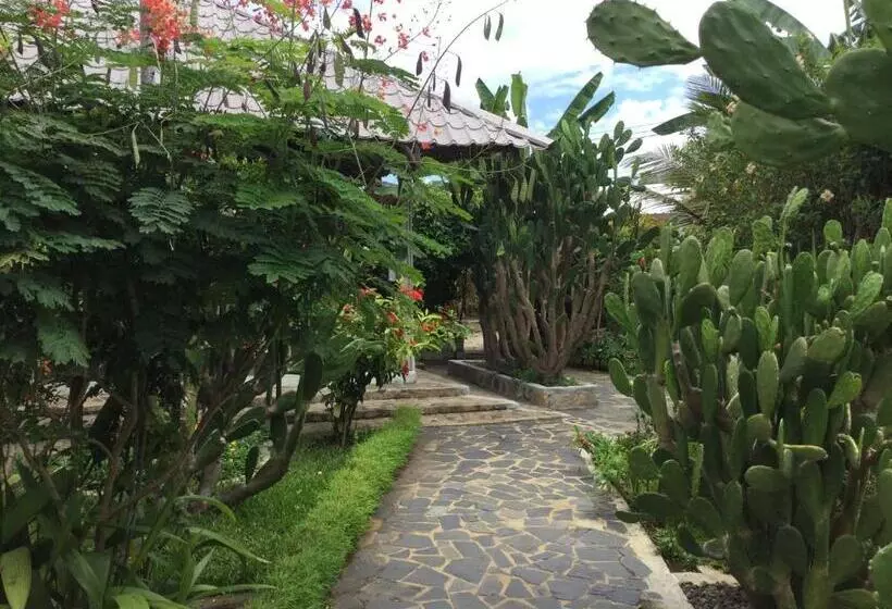 پانسیون Superbe Studio + Terrasse Privée « le Clair De L’une »