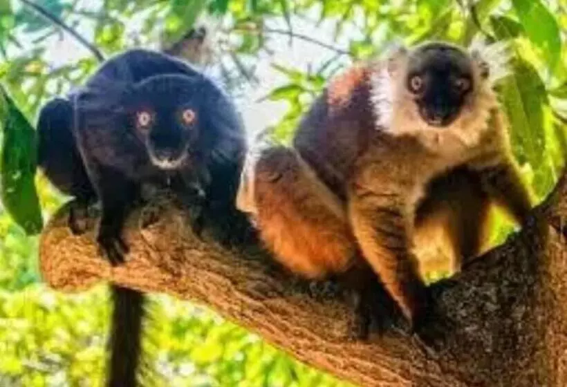 پانسیون Superbe Studio + Terrasse Privée « le Clair De L’une »