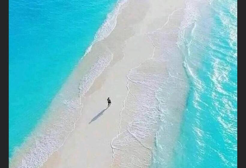 پانسیون Superbe Studio + Terrasse Privée « le Clair De L’une »