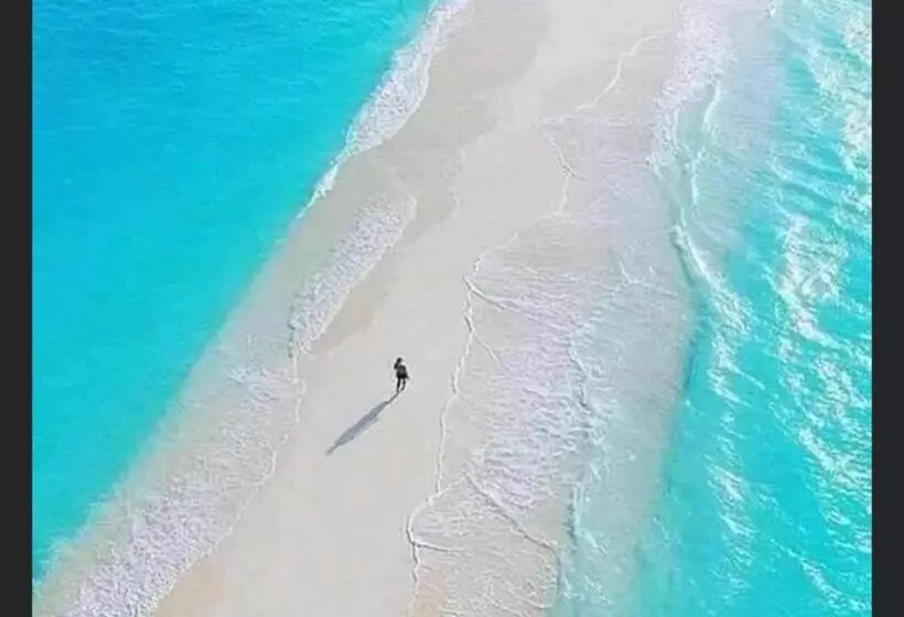 پانسیون Superbe Studio + Terrasse Privée « le Clair De L’une »