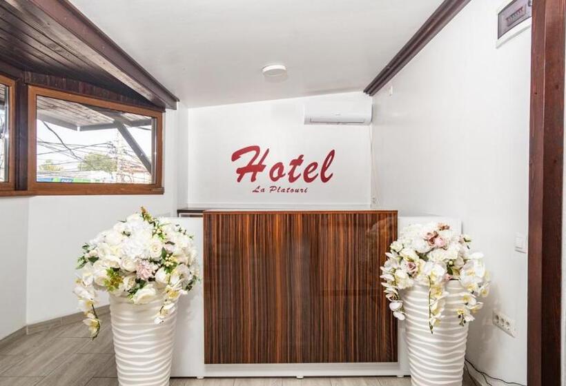 فندق صغير La Platouri