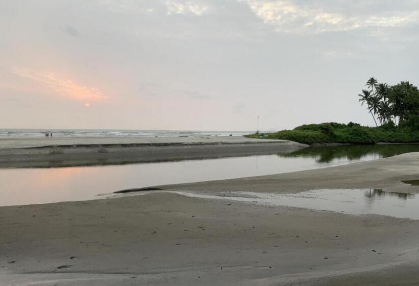 فندق صغير One Light Stays   Ashwem