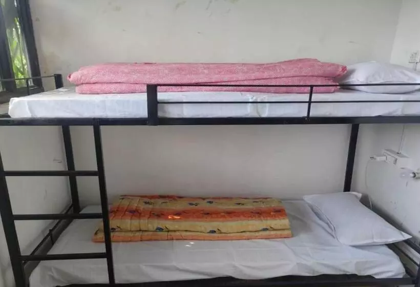 ユースホステル Park Homestay