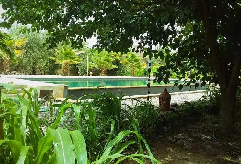 Riad Aman Skoura