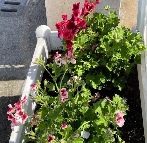 Dependance Hotel Marina