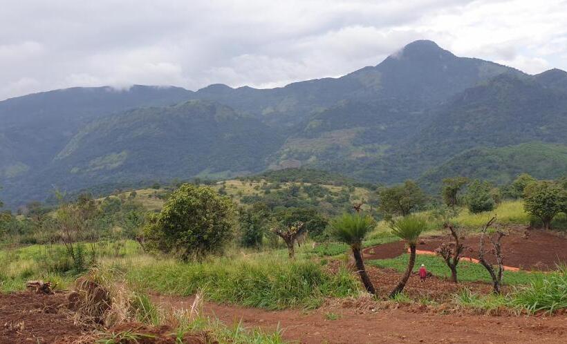 Отель Boho Chic Villa   Udadumbara   Kandy