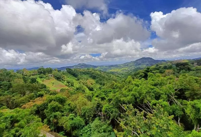 Mist Mountain Resort Powered By Cocotel