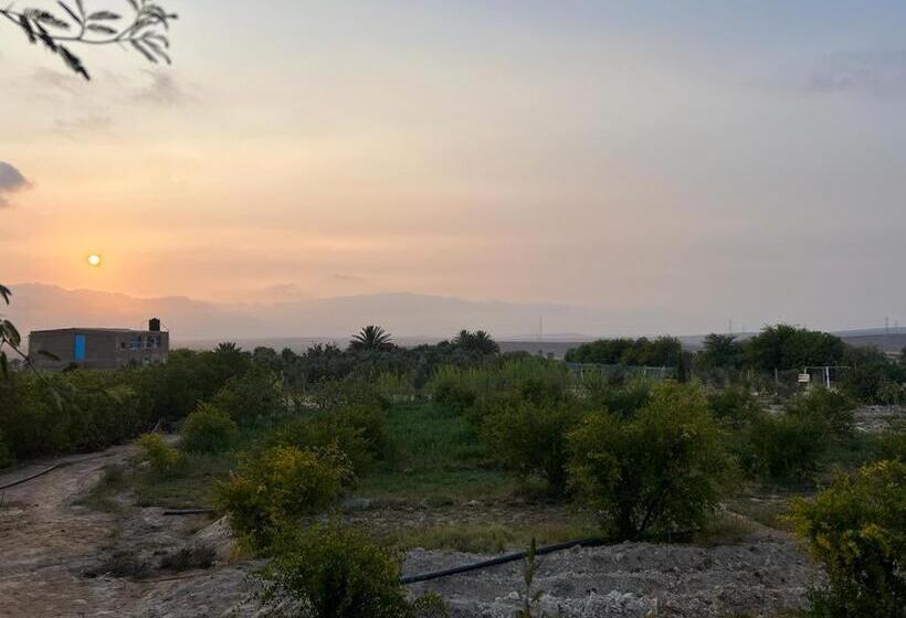 Pension (Hôtel basse catégorie) Auberge Touristique Zriouila