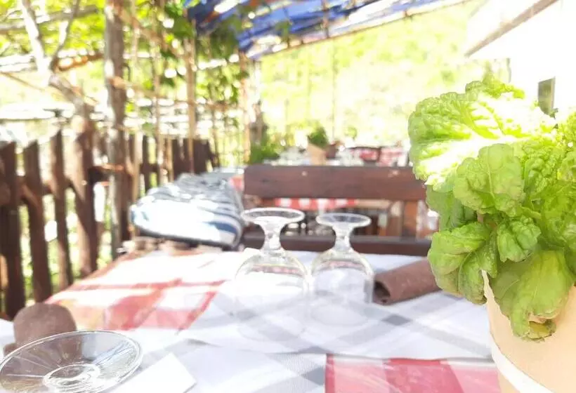 ベッドアンドブレックファースト La Locanda Del Pettirosso