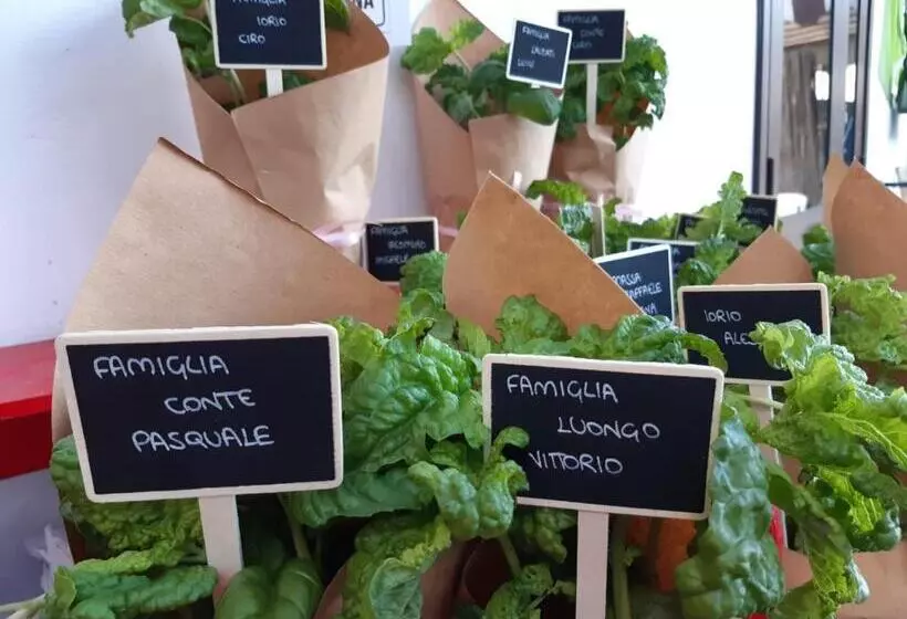 ベッドアンドブレックファースト La Locanda Del Pettirosso