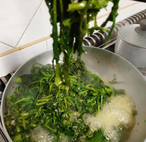 住宿加早餐  La Locanda Del Pettirosso