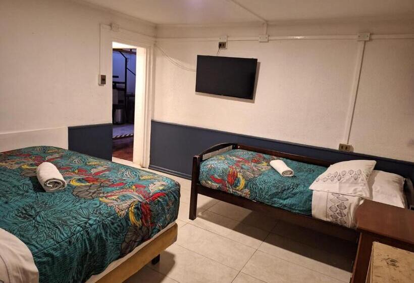 ホテル Terrasol Iquique