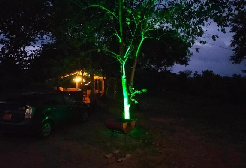 Отель The Grand Villa