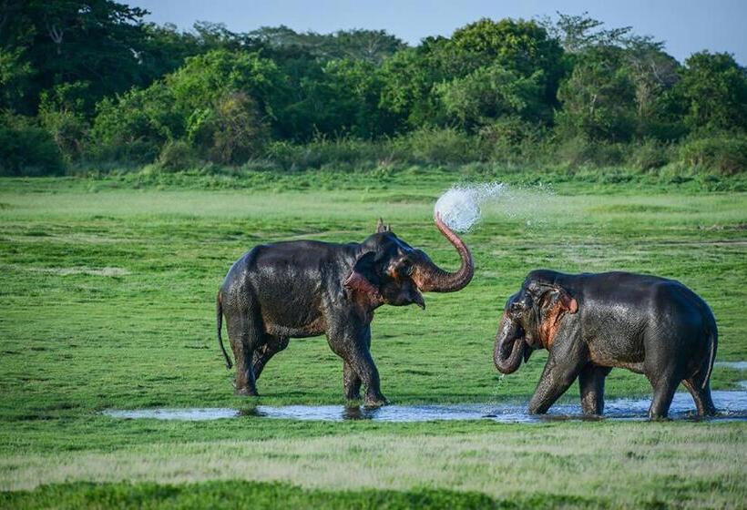 Отель The Grand Villa