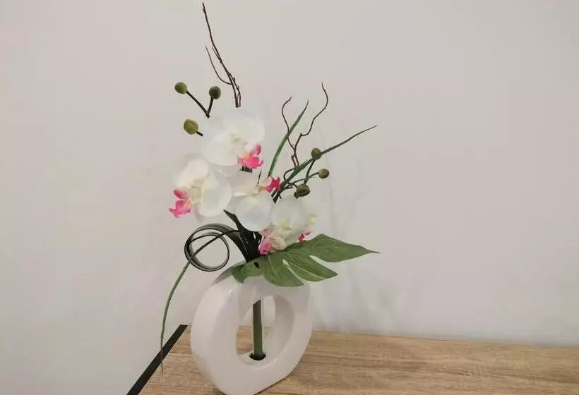 ペンション Alojamento Andorinhas