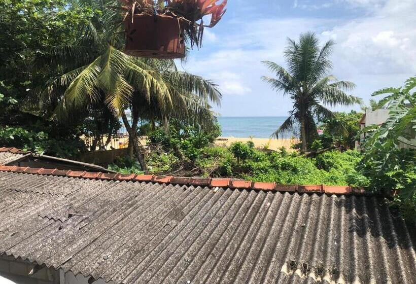 بنسيون Boomerang Una With Free Scooter Bike