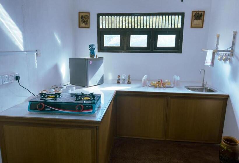 بنسيون Gamini Villa