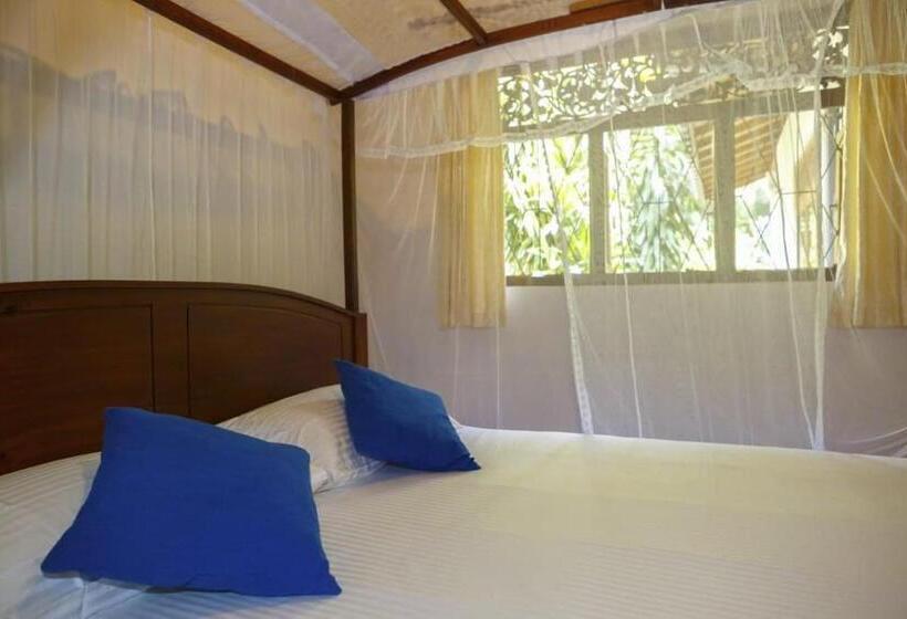 بنسيون White Star House