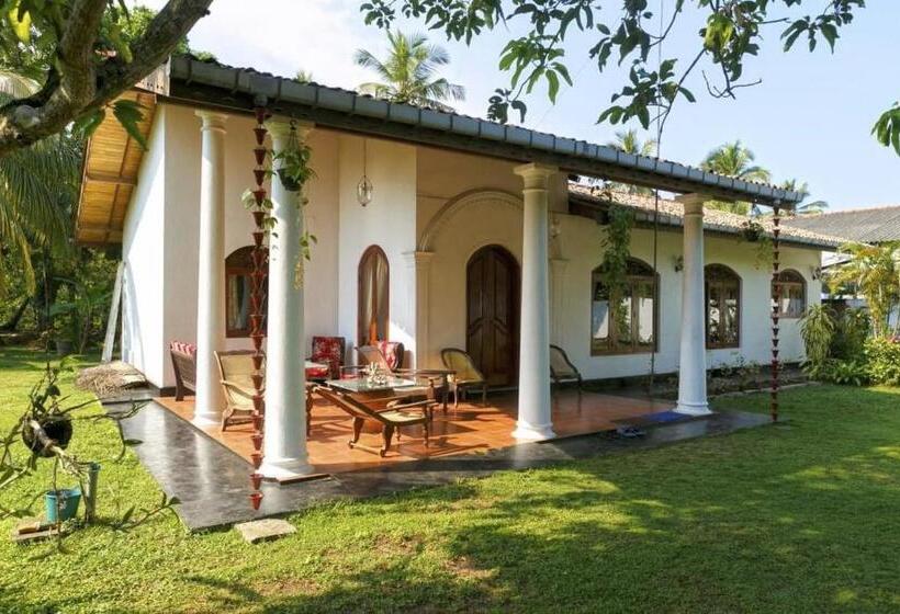 بنسيون White Star House