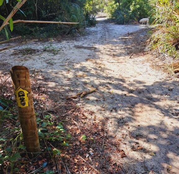 旅馆 Itaúnas Pousada Nossa Palhoça