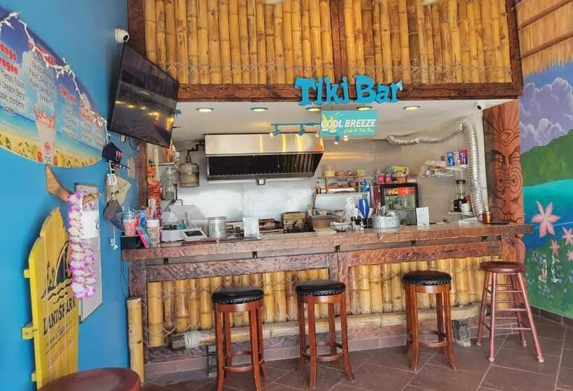 Beautiful Oceanview Condo With 75 Inch Tv