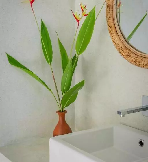 ベッドアンドブレックファースト Marshmellow Surf Villa With Pool   Sri Lanka
