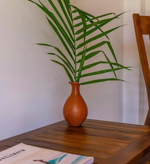 ベッドアンドブレックファースト Marshmellow Surf Villa With Pool   Sri Lanka