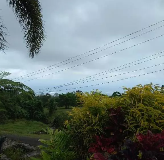 Aamiaismajoitus (B&B) Oceanview Mountain Lodge